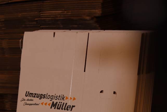 Günstiger Behördenumzug Frankenthal (Pfalz)